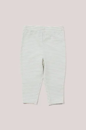 Little Green Radicals Blue Stripe Leggings - Powder Blue Stripe